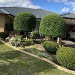 Integrity Hedging & GardensIntegrity Hedging & Gardens - photo 2