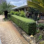 Integrity Hedging & GardensIntegrity Hedging & Gardens - photo 4