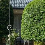 Integrity Hedging & GardensIntegrity Hedging & Gardens - photo 6