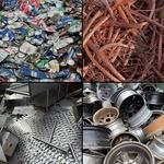 Taylor Junkyard, Inc - photo 2