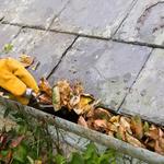 Quickil Pest Control - photo 8