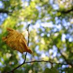 Hawken Acupuncture - photo 2