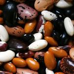 Hawken Acupuncture - photo 4