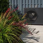 Pogo Energy - photo 1