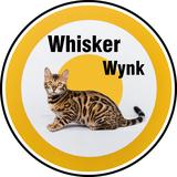 Whisker Wynk - Pet Stores in Panhandle