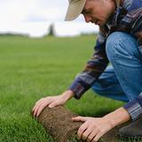 Green Landscaping of Mountain View