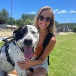 Delightful Chews Gourmet Dog Treats - photo 1