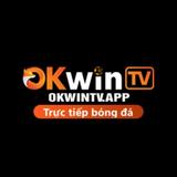 okwintvapp - Business Financial Consultants in Hot Springs
