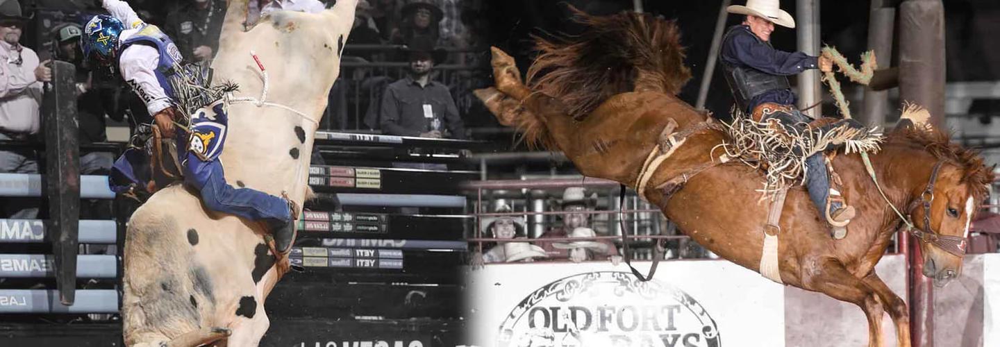 OptiWize LLC premium all-natural supplements cover photo