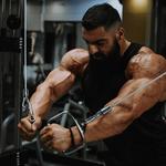 Muscular Development - photo 1