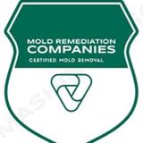 Winston Salem Mold Remediation Pros - Damage Restoration in Winston-Salem