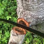 Hardy Wood Products - photo 1