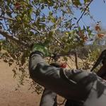 Hardy Wood Products - photo 5