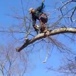 Hardy Wood Products - photo 6