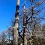 Hardy Wood Products - photo 7