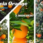 Celgen Biotech - photo 1