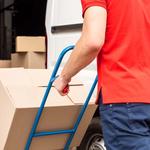 Wilmer Mover - photo 2