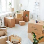 Road Oak Mover - photo 1