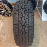 rimright kenya - photo 10