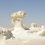 Nile Holiday - photo 2