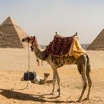 Nile Holiday - photo 4