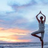 Natural Health Notebook - Health & Medical in Byron Bay