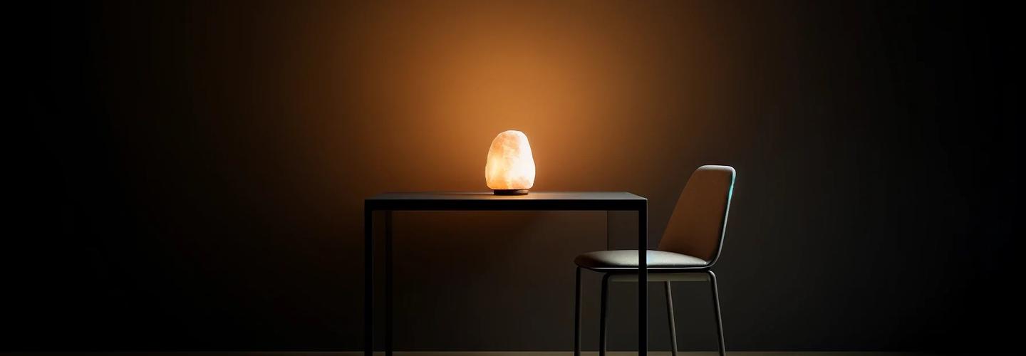 The Himalayan Salt cover photo