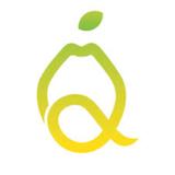 Quince Medical - Medical Centers in New York