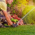 WVI Irrigation - photo 1