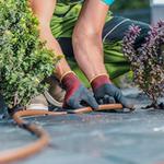 WVI Irrigation - photo 3