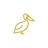 Pelican Pools - Swimming Pools in Palm Coast