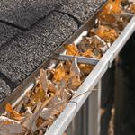 Easts Gutter Cleaners - photo 1