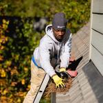 Easts Gutter Cleaners - photo 2