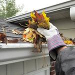 Easts Gutter Cleaners - photo 5