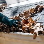 Easts Gutter Cleaners - photo 8