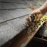 Easts Gutter Cleaners - photo 10