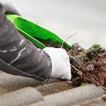 Pro Gutter Cleaning - photo 1