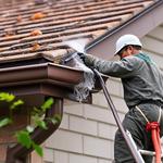 Pro Gutter Cleaning - photo 3