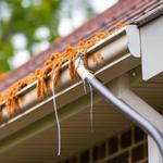 Pro Gutter Cleaning - photo 4