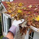 Pro Gutter Cleaning - photo 5