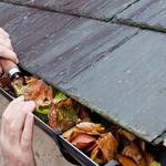 Pro Gutter Cleaning - photo 9