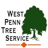 West Penn Tree Service - Tree Services in Irwin
