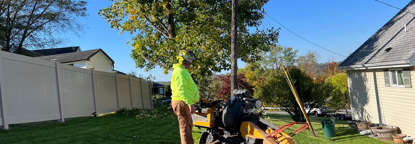 West Penn Tree Service cover photo
