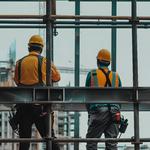 WISE K9 LTD - photo 7