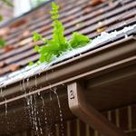 Wollongong Gutters - photo 2