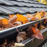 Wollongong Gutters - photo 4