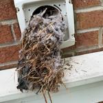 Airflow Expert LLC - photo 1