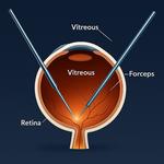 Nihar Netralaya - photo 2