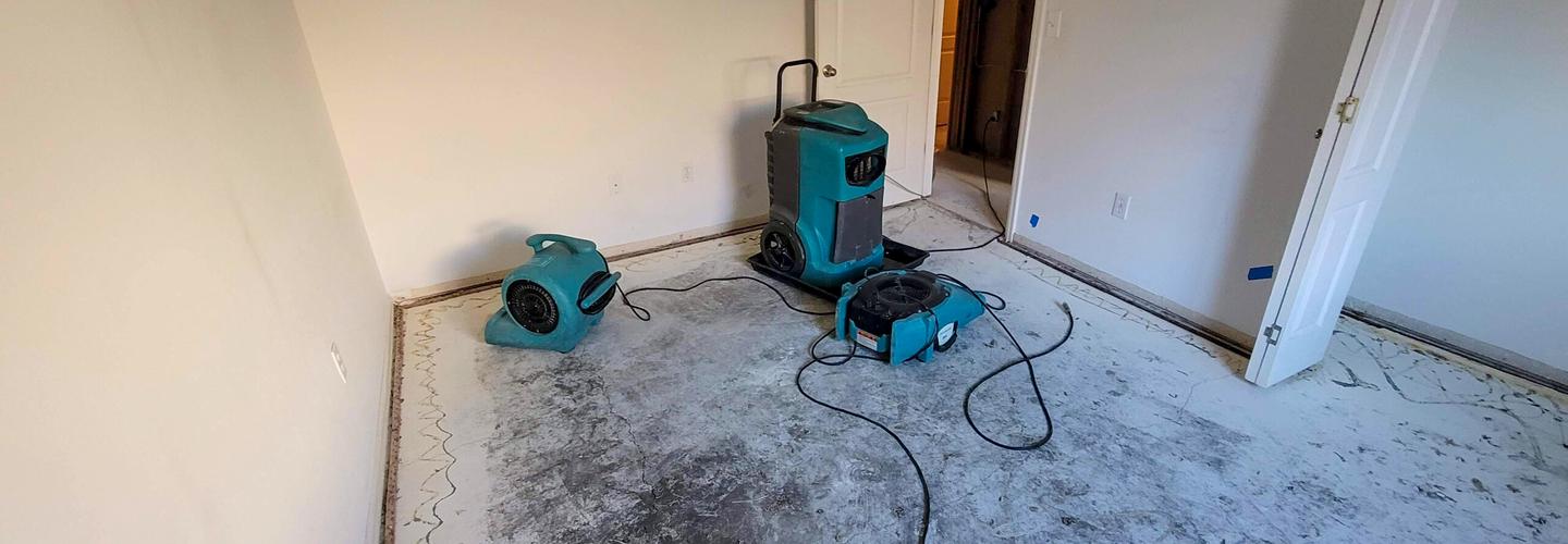 Master Restoration cover photo