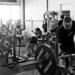 PerforMotion - photo 3